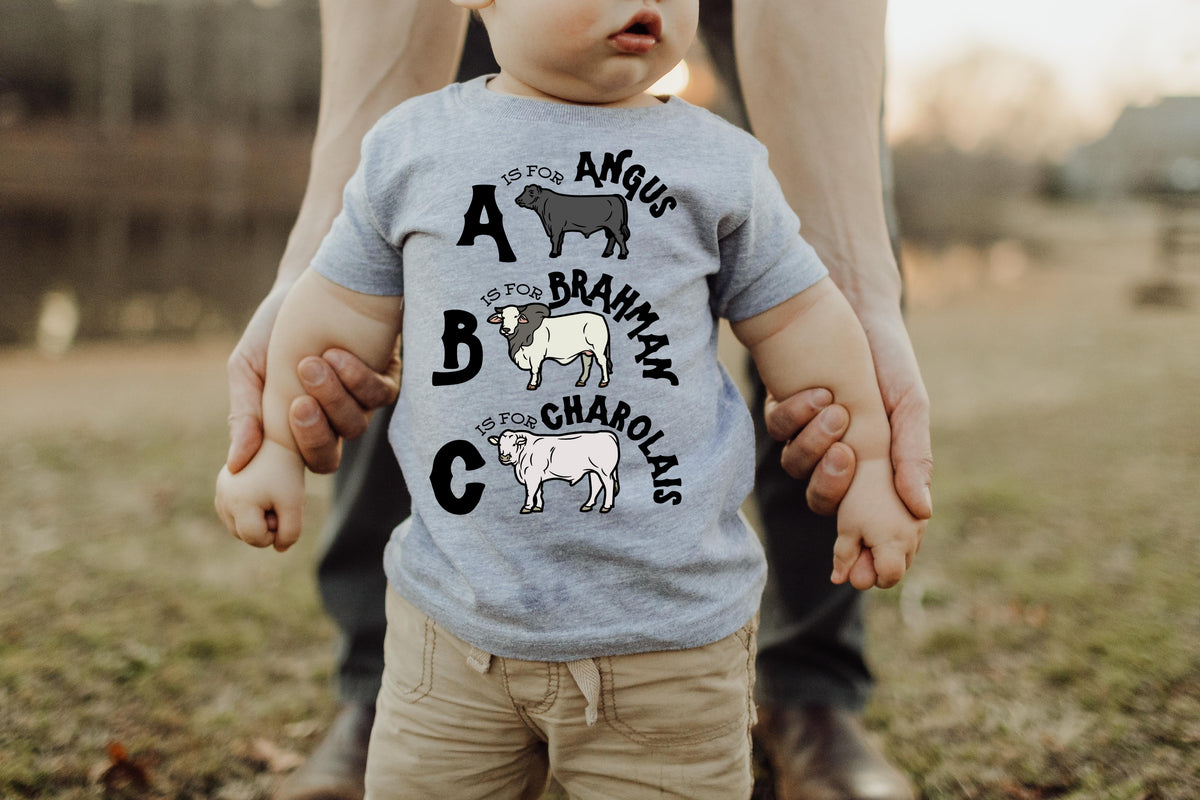 ABC CATTLE