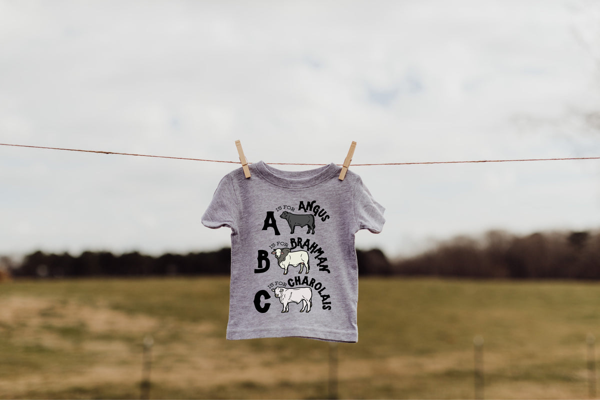 ABC CATTLE