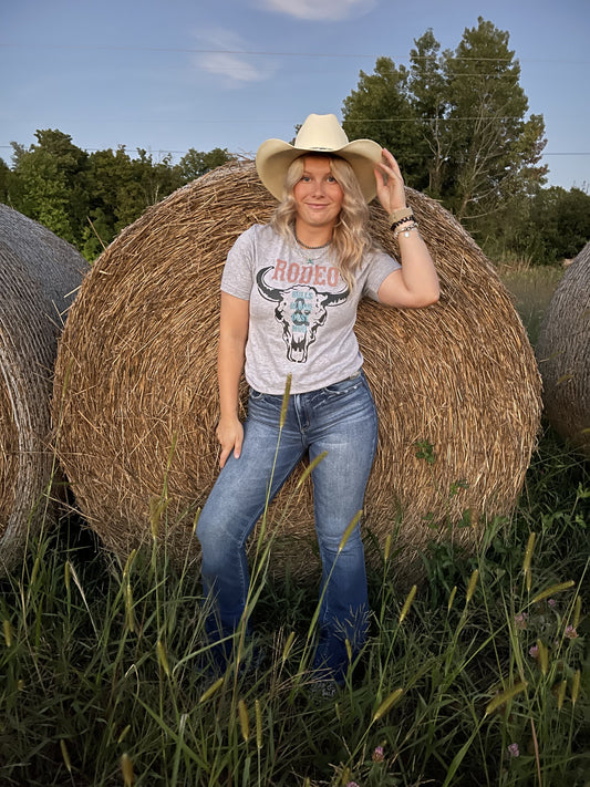 Rodeo Bull